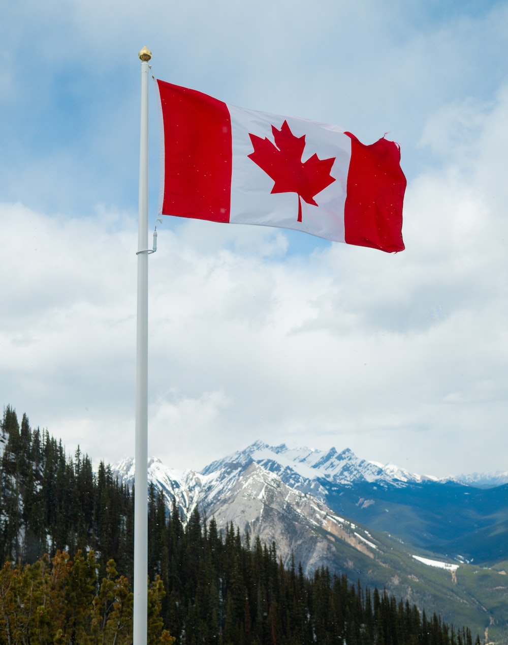 The Hemp Plant and Canadian Land