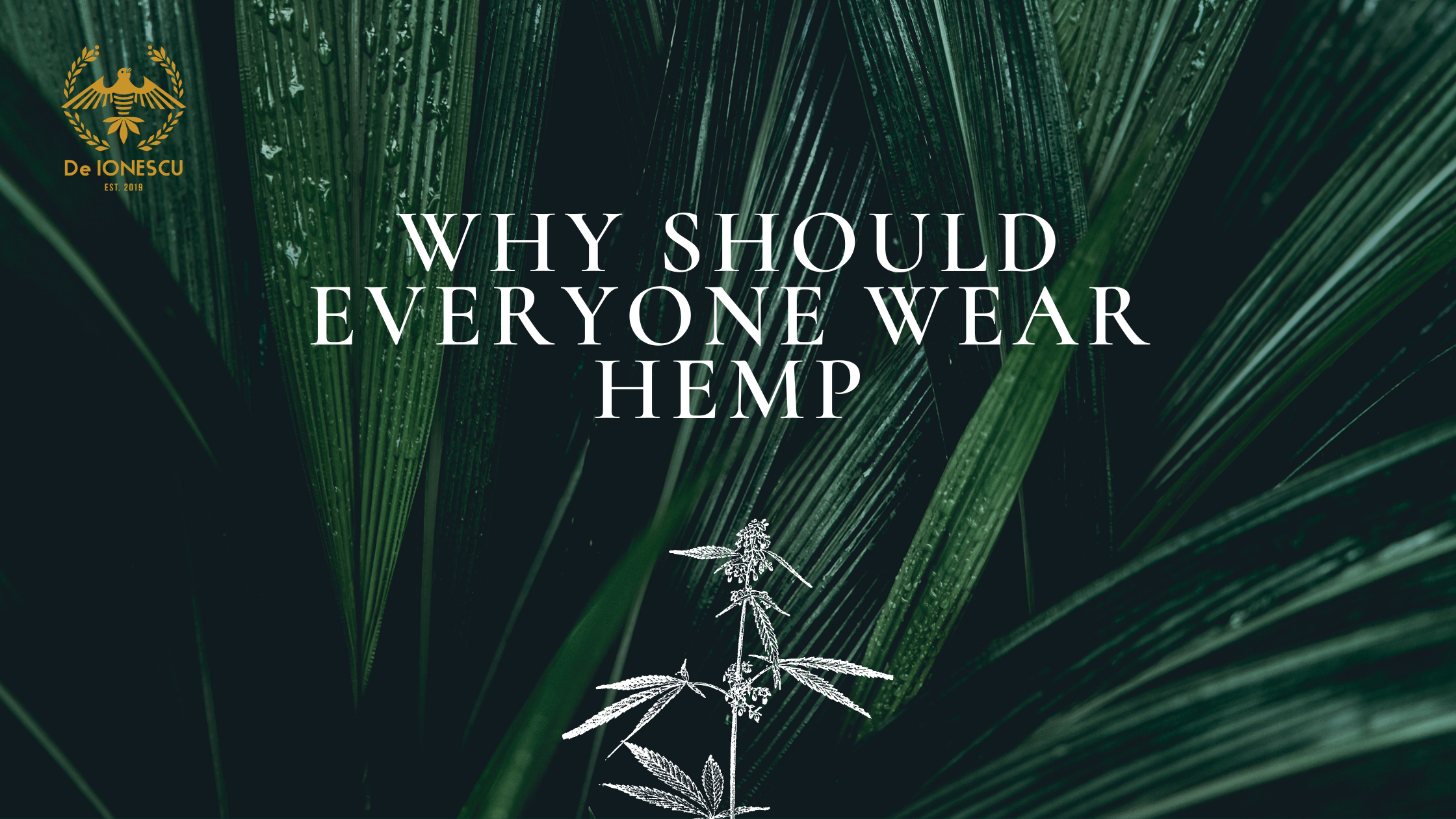 Why Everyone Should Wear Hemp